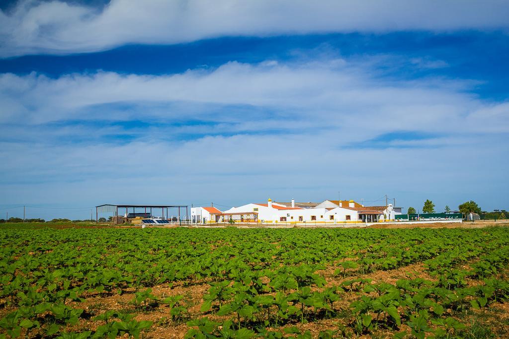 Hostal Agro-Turismo Do Roxo Ervidel Exterior foto